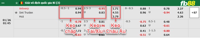Fb88 bảng kèo trận đấu Royal Antwerp vs St.-Truidense