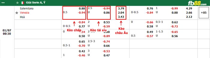 fb88-bảng kèo trận đấu Salernitana vs Venezia
