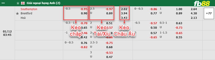Fb88 bảng kèo trận đấu Southampton vs Brentford