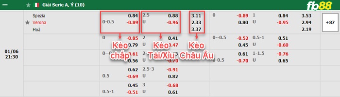 Fb88 bảng kèo trận đấu Spezia vs Hellas Verona