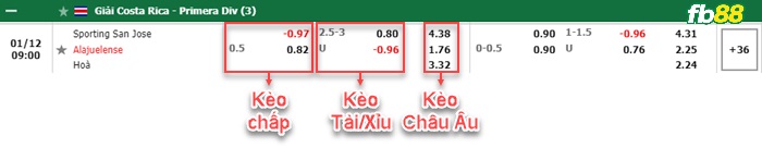 Fb88 bảng kèo trận đấu Sporting San Jose vs Alajuelense