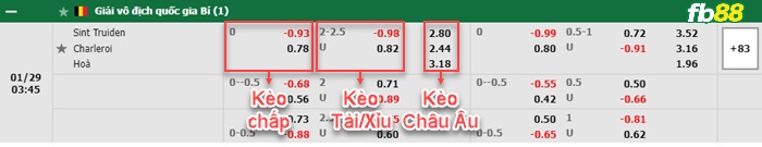 Fb88 bảng kèo trận đấu St.-Truidense vs Charleroi