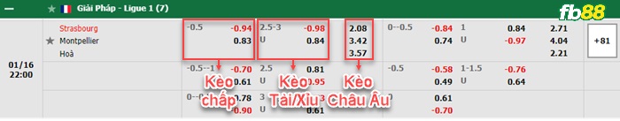 Fb88 bảng kèo trận đấu Strasbourg vs Montpellier