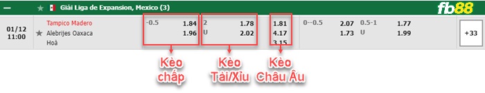 Fb88 bảng kèo trận đấu Tampico Maderovs Alebrijes de Oaxaca
