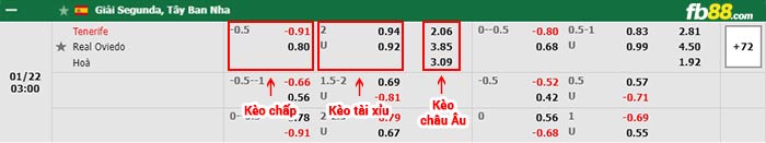 fb88-bảng kèo trận đấu Tenerife vs Real Oviedo