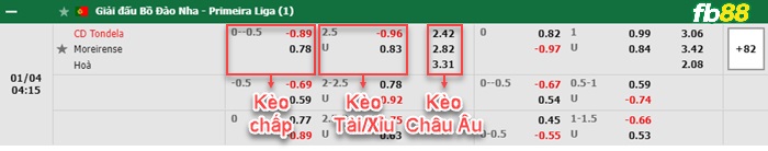 Fb88 bảng kèo trận đấu Tondela vs Moreirense