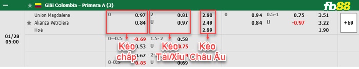 Fb88 bảng kèo trận đấu Union Magdalena vs Alianza Petrolera