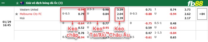Fb88 bảng kèo trận đấu Western Unitedvs Melbourne City