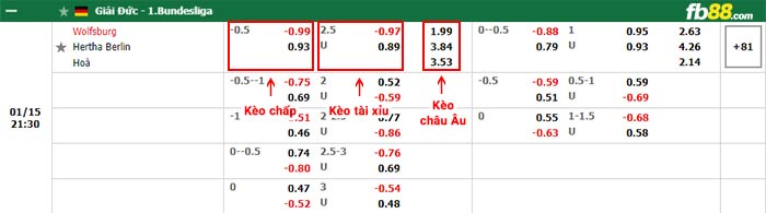 fb88-bảng kèo trận đấu Wolfsburg vs Hertha Berlin