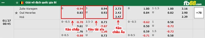 fb88-bảng kèo trận đấu Zulte Waregem vs Oud Leuven