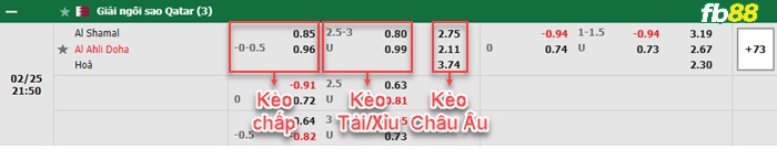 Fb88 bảng kèo trận đấu Al-Shamal vs Al-Ahli Doha