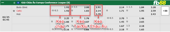 Fb88 bảng kèo trận đấu Bodo Glimt vs Celtic