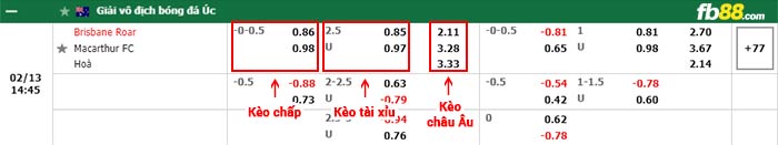 fb88-bảng kèo trận đấu Brisbane Roar vs Macarthur FC