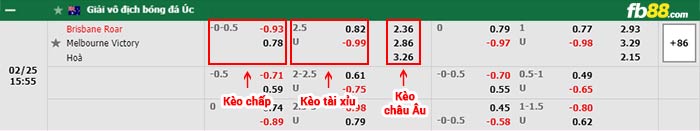 fb88-bảng kèo trận đấu Brisbane Roar vs Melbourne Victory