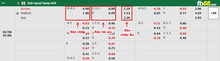 fb88-bảng kèo trận đấu Burnley vs Watford