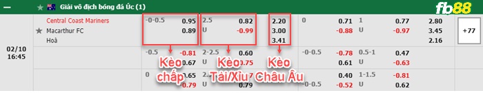 Fb88 bảng kèo trận đấu Central Coast vs Macarthur FC