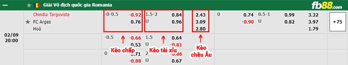 fb88-bảng kèo trận đấu Chindia Targoviste vs Arges
