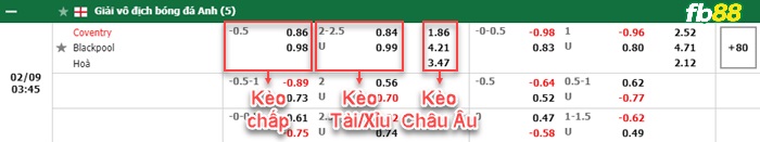 Fb88 bảng kèo trận đấu Coventry vs Blackpool