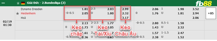 Fb88 bảng kèo trận đấu Dynamo Dresden vs Heidenheim