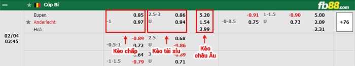 fb88-bảng kèo trận đấu Eupen vs Anderlecht