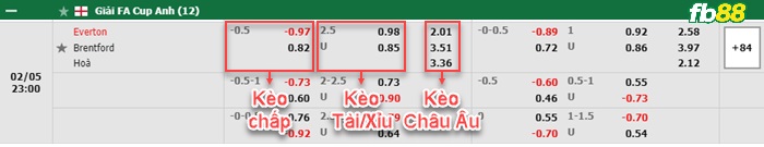 Fb88 bảng kèo trận đấu Everton vs Brentford