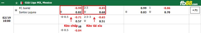 fb88-bảng kèo trận đấu FC Juarez vs Santos Laguna