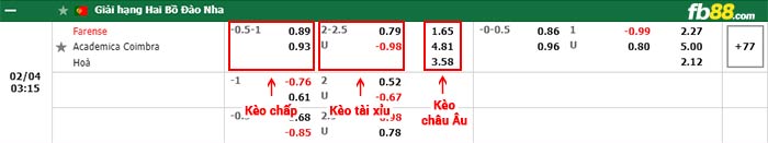 fb88-bảng kèo trận đấu Farense vs Academica Coimbra