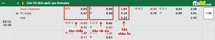 fb88-bảng kèo trận đấu Farul Constanta vs FC Arges