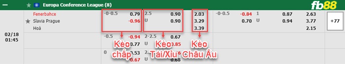 Fb88 bảng kèo trận đấu Fenerbahce vs Slavia Praha
