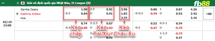 Fb88 bảng kèo trận đấu Gamba Osaka vs Kashima Antlers