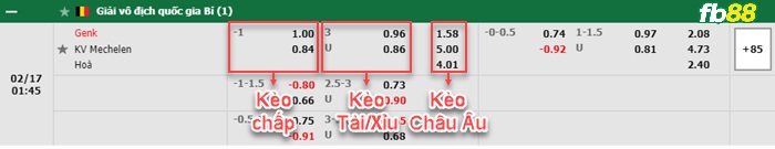 Fb88 bảng kèo trận đấu Genk vs Mechelen