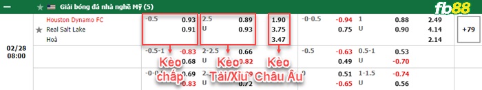 Fb88 bảng kèo trận đấu Houston Dynamo vs Salt Lake