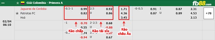 fb88-bảng kèo trận đấu Jaguares de Cordoba vs Patriotas FC