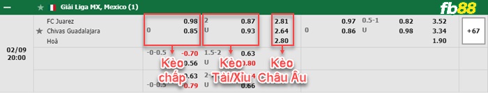 Fb88 bảng kèo trận đấu Juarez vs Chivas Guadalajara