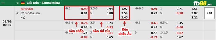 fb88-bảng kèo trận đấu Karlsruher vs Sandhausen