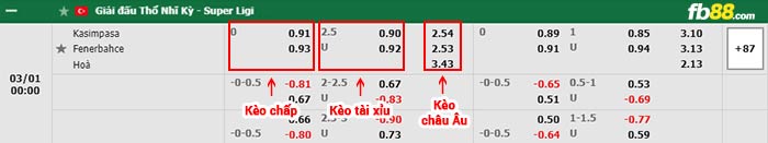 fb88-bảng kèo trận đấu Kasimpasa vs Fenerbahce
