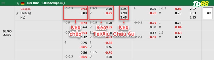 Fb88 bảng kèo trận đấu Koln vs Freiburg