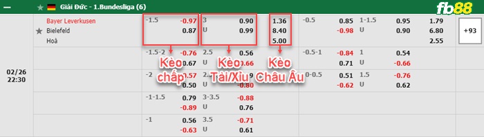 Fb88 bảng kèo trận đấu Leverkusen vs Bielefeld