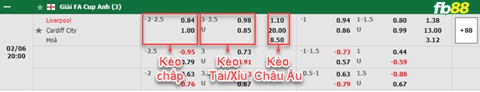 Fb88 bảng kèo trận đấu  Liverpool vs Cardiff City