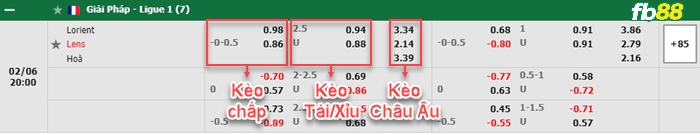 Fb88 bảng kèo trận đấu Lorient vs Lens