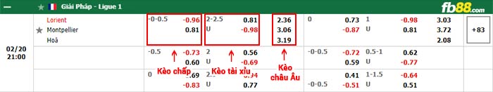 fb88-bảng kèo trận đấu Lorient vs Montpellier