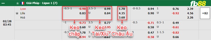 Fb88 bảng kèo trận đấu Lyon vs Lille