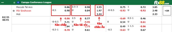 fb88-bảng kèo trận đấu Maccabi Tel Aviv vs PSV
