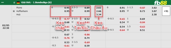 Fb88 bảng kèo trận đấu Mainz vs Hoffenheim