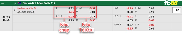 Fb88 bảng kèo trận đấu Melbourne City vs Adelaide