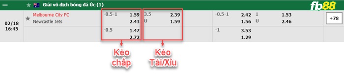 Fb88 bảng kèo trận đấu Melbourne City vs Newcastle Jets