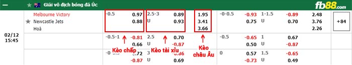 fb88-bảng kèo trận đấu Melbourne Victory vs Newcastle Jets
