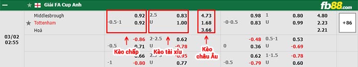 fb88-bảng kèo trận đấu Middlesbrough vs Tottenham