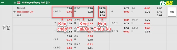 Fb88 bảng kèo trận đấu Norwich vs Man City