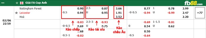 fb88-bảng kèo trận đấu Nottingham Forest vs Leicester